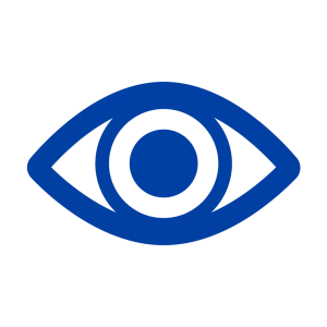 vision